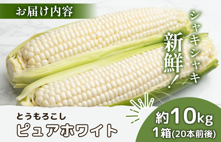 【2026年度発送分】上原農場直送　有機栽培とうもろこし (ピュアホワイト) 約10kg 約20本前後【66017】