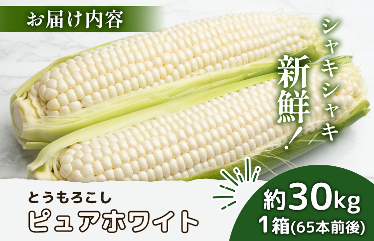 【2026年度発送分】上原農場直送 とうもろこし (ピュアホワイト)  約30kg 約65本前後【66018】