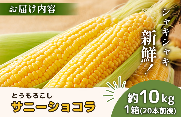 【2026年度発送分】上原農場直送 有機栽培とうもろこし (サニーショコラ) 約10kg 約20本前後【66020】