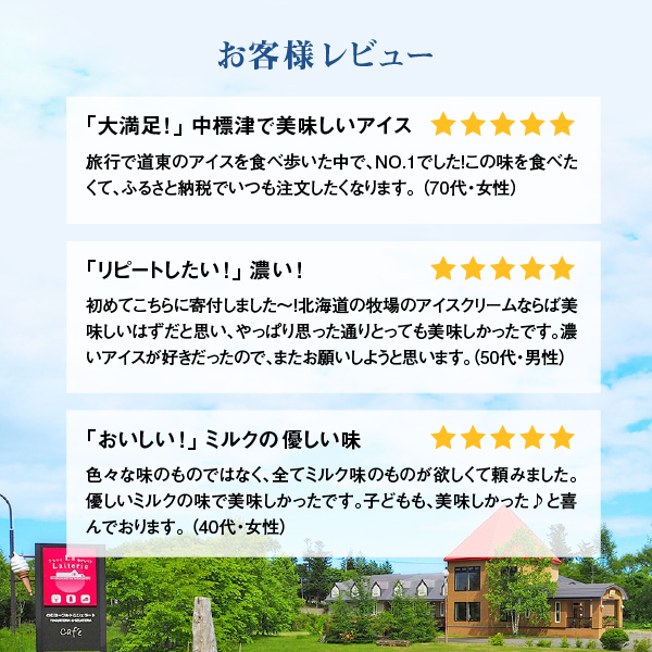 【無添加】北海道 プレミアム アイスクリーム（ミルク）10個 アイス ミルク【1111401】