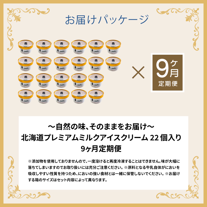 【定期便：全9回】北海道 プレミアムミルクアイスクリーム×22個【11161】 22個×9回