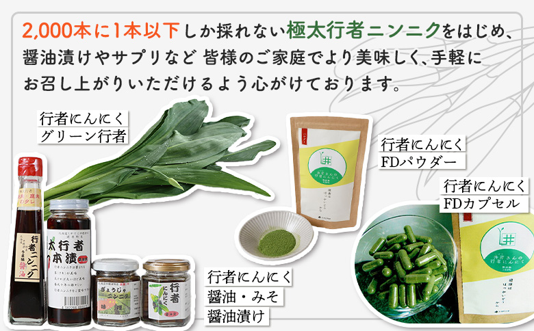 【ハーブとして最適】行者にんにくグリーン行者×4袋 （葉部）【20020】