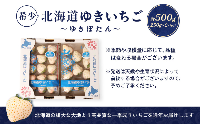 【受注後、随時発送！】【北海道産】ゆきいちご（白いちご）2Pセット 250g×2 計500g【59001】