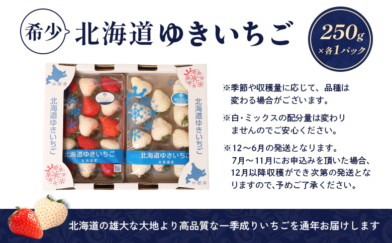 【12月以降、随時発送！】【北海道産】ゆきいちご（ゆきぼたん/すず）白×ＭＩＸ 2Pセット 各250g×2 計500g【5900201】