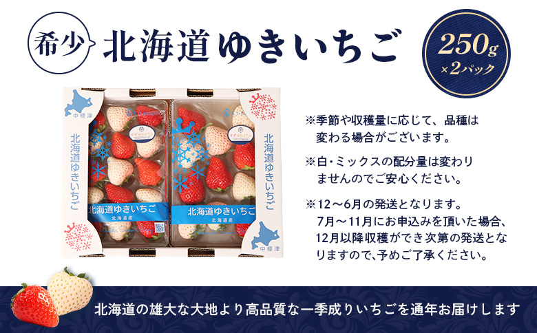【12月以降、随時発送！】【北海道産】ゆきいちご（ゆきぼたん/すず）赤白ＭＩＸ×２Ｐセット 250g×2　計500g【5900301】