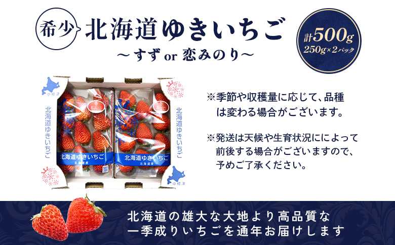 【受注後、随時発送！】【北海道産】ゆきいちご（すずor恋みのり） ２Pセット 各250g×２ 計500g【5900501】