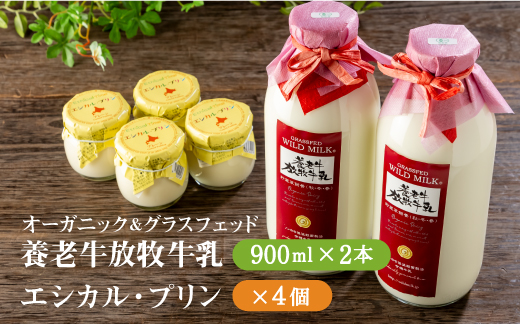 オーガニック＆グラスフェッド養老牛放牧牛乳900ml×2本とエシカル・プリン×4個セット【1301201】