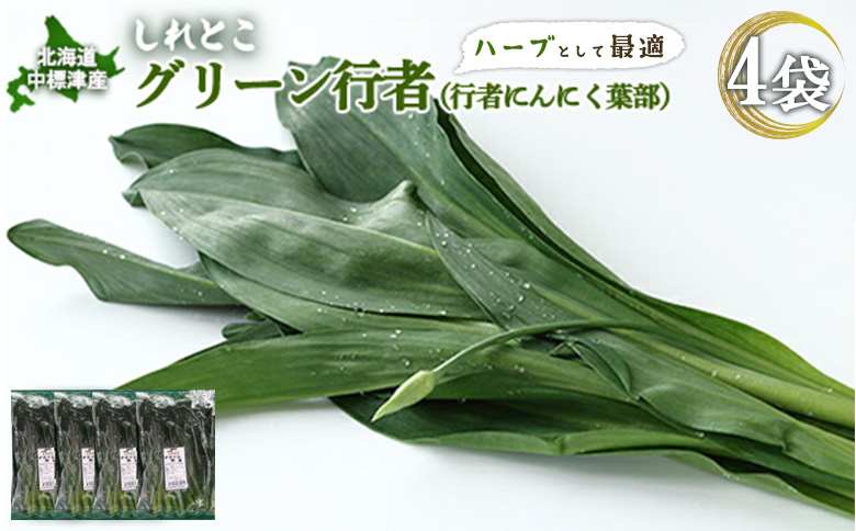 【ハーブとして最適】行者にんにくグリーン行者×4袋 （葉部）【20020】