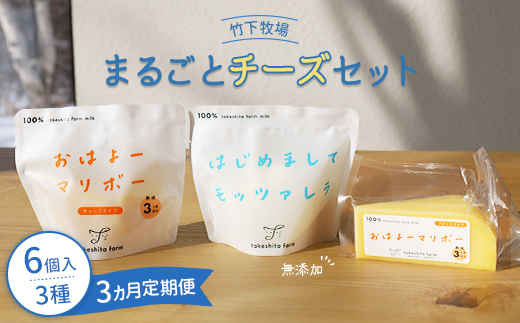 竹下牧場 takeshita farm【定期便３ヶ月】まるごとチーズセット 計560g【2400201】 定期便(3回配送)
