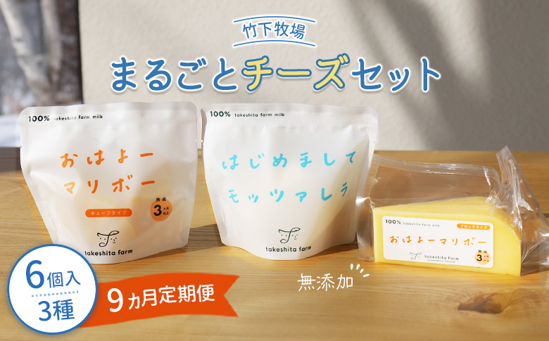 竹下牧場 takeshita farm【定期便9ヶ月】まるごとチーズセット 計560g【24024】 定期便(9回配送)