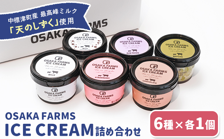 OSAKA FARMS ICE CREAM 詰め合わせ6個入りセット（ミルク・チョコ・イチゴ・抹茶・チョコチップ・ラムレーズン）各1個【51013】