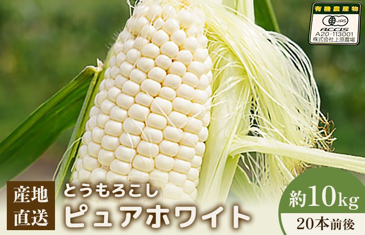 【2026年度発送分】上原農場直送　有機栽培とうもろこし (ピュアホワイト) 約10kg 約20本前後【66017】