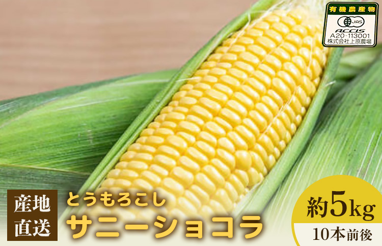 【2026年度発送分】上原農場直送 有機栽培とうもろこし (サニーショコラ) 約5kg 約10本前後【66019】