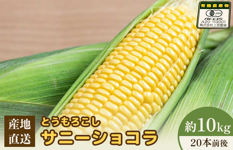 【2026年度発送分】上原農場直送 有機栽培とうもろこし (サニーショコラ) 約10kg 約20本前後【66020】