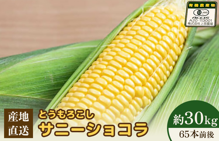【2026年度発送分】上原農場直送 有機栽培とうもろこし (サニーショコラ) 約30kg 約65本前後【66021】