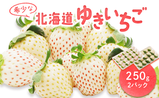 [北海道産]ゆきいちご(白いちご) 2Pセット 250g×2 計500g[59001]