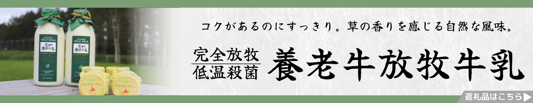 養老牛放牧牛乳
