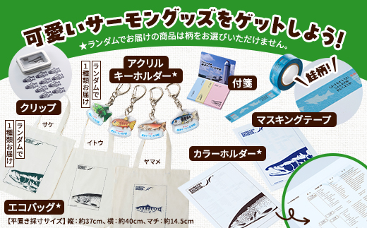 標津サーモン科学館グッズセットB　エコバッグ クリップ テープ 付箋 ファイル キーホルダー