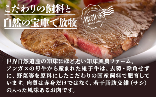 知床興農 牛サーロインステーキ　　200g×2パック　牛肉 赤身【配送不可地域：離島】