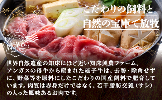知床興農 牛しゃぶしゃぶ・すき焼き用　400g　牛肉 赤身 冷凍【配送不可地域：離島】