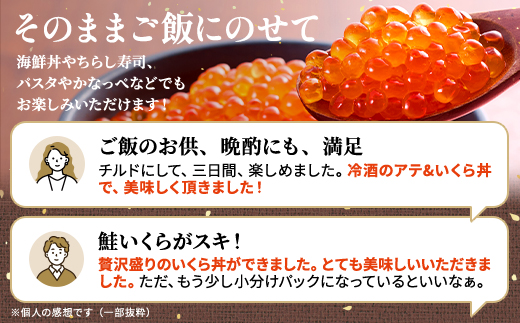 【令和7年新物】北海道産塩いくら　250g×1パック【配送不可地域：離島】
