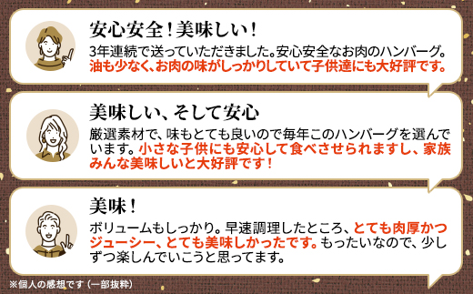【毎月定期便】生ハンバーグ12個セット　冷凍 国産 牛肉 豚肉 ギフト 小分け 人気 全3回【配送不可地域：離島】