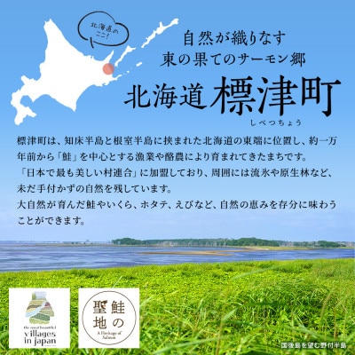 【返礼品なし】北海道標津町の安心して子育てができるまちづくりを応援!(5,000円)