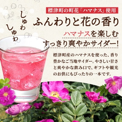 はまなすサイダー 230ml×8本 炭酸 ご当地サイダー