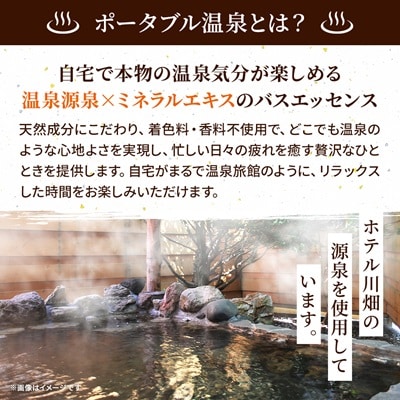 ふるさと温泉物語 標津川温泉(温泉ミネラル入浴液)200ml 温泉 入浴剤 温泉 