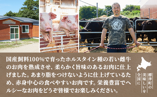 北海道産牛すき焼き用　部位おまかせ600g(200g×3)　牛肉 赤身 熟成肉 モモ バラ 肩ロース【配送不可地域：離島】