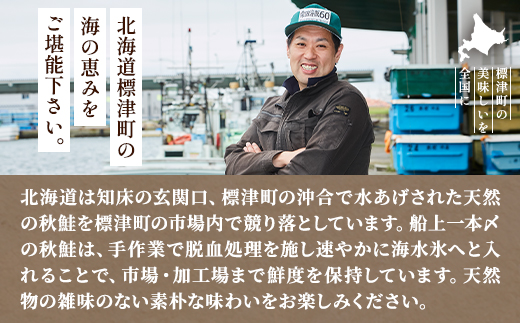 鮭親子丼セット【純標津産】2～3人前用 イクラ 北海道 人気 おすすめ サケ サーモン 魚卵 天然【配送不可地域：離島】
