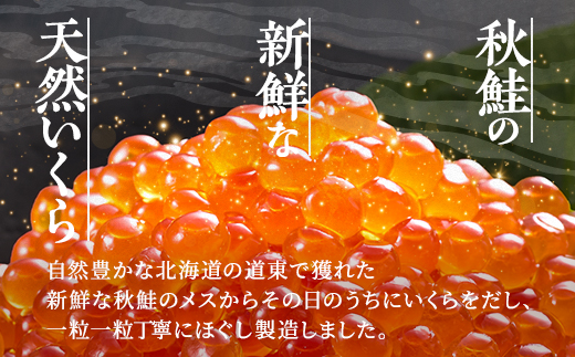 【令和7年新物】醤油いくら500g(250g×2) イクラ 北海道 人気 おすすめ さけ 魚卵 天然【配送不可地域：離島】