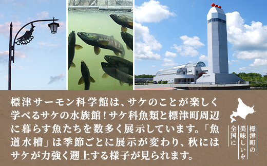 標津サーモン科学館グッズセットD　鮭ポーチ エコバッグ ボールペン クリップ 付箋 コースター