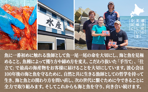 【北海道標津町】波心会の鮭セット　天然 いくら 醤油漬 さけ 切身 味噌漬け 新巻 輪切【配送不可地域：離島】