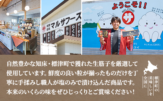 【令和7年新物】塩いくら120g×2パック 塩漬け イクラ 北海道 人気 おすすめ 小分け 天然【配送不可地域：離島】