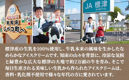 【毎月定期便】しべつ牛乳アイス12個　アイスクリーム 無添加 詰め合わせ全6回【配送不可地域：離島】