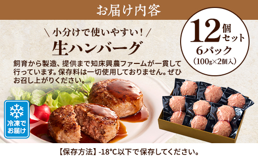 生ハンバーグ12個セット　冷凍 国産 牛肉 豚肉 ギフト 小分け 人気 便利【配送不可地域：離島】