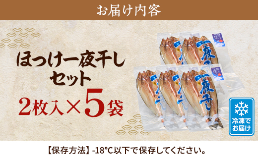 北海道産 天然ほっけ一夜干しセット 2枚入×5袋　干物 ホッケ 北海道産 冷凍【配送不可地域：離島】