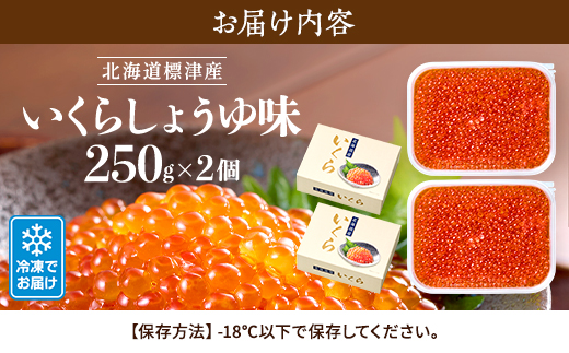 【令和7年新物】いくら・しょうゆ味・標津産 250g×2個 イクラ 北海道 さけ 魚卵 天然 海産物【配送不可地域：離島】