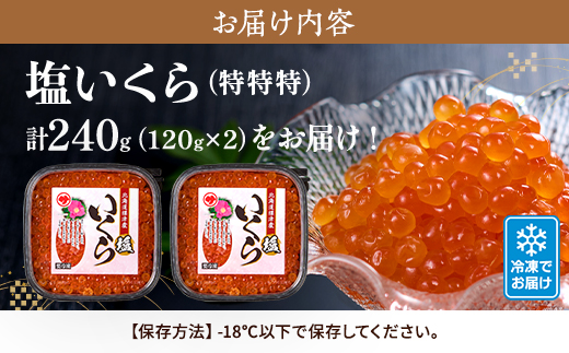 【令和7年新物】塩いくら120g×2パック 塩漬け イクラ 北海道 人気 おすすめ 小分け 天然【配送不可地域：離島】