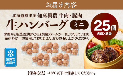 生ハンバーグミニ 25個セット(5個×5パック)冷凍でお届け 国産 牛肉 豚肉 ギフトにもおすすめ【配送不可地域：離島】