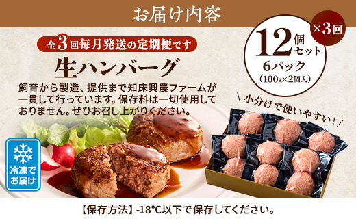 【毎月定期便】生ハンバーグ12個セット　冷凍 国産 牛肉 豚肉 ギフト 小分け 人気 全3回【配送不可地域：離島】