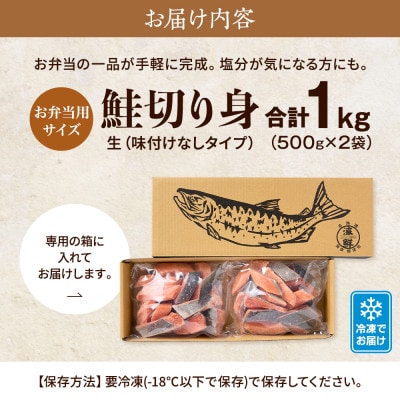 【骨抜き・カット】生鮭切り身　味付けなし　500g×2袋【配送不可地域：離島】