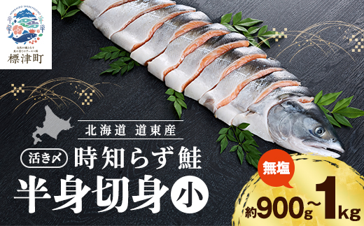 北海道道東産　活き〆時知らず鮭半身切身(小)約900g-1kg 北海道 人気 おすすめ さけ 天然【配送不可地域：離島】