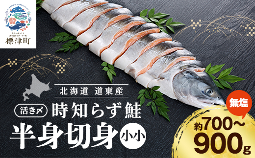 北海道道東産　活き〆時知らず鮭半身切身(小小)約700-900g 北海道 人気 おすすめ さけ 天然【配送不可地域：離島】
