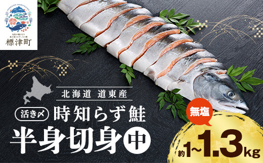 北海道道東産　活き〆時知らず鮭半身切身(中)約1kg-1.3kg 北海道 人気 おすすめ さけ 天然【配送不可地域：離島】