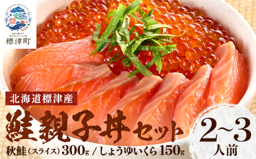 鮭親子丼セット【純標津産】2～3人前用 イクラ 北海道 人気 おすすめ サケ サーモン 魚卵 天然【配送不可地域：離島】