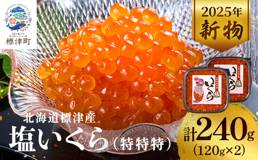 【令和7年新物】塩いくら120g×2パック 塩漬け イクラ 北海道 人気 おすすめ 小分け 天然【配送不可地域：離島】