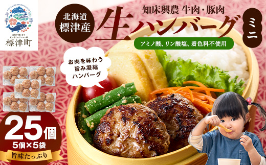 生ハンバーグミニ 25個セット(5個×5パック)冷凍でお届け 国産 牛肉 豚肉 ギフトにもおすすめ【配送不可地域：離島】