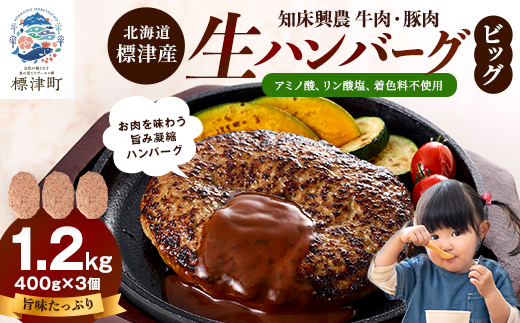 生ハンバーグ 400g×3個セット 冷凍でお届け 国産 牛肉 豚肉 ギフトにもおすすめ【配送不可地域：離島】